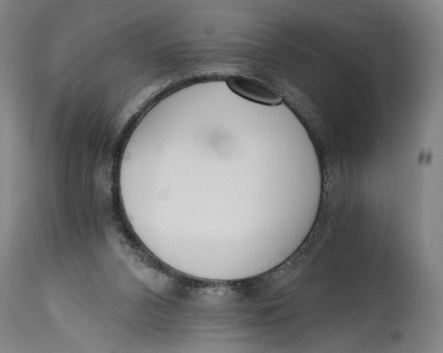 X0000114590112200911161340
