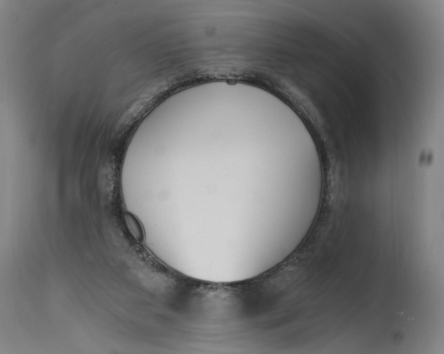 X0000114590113200911161340