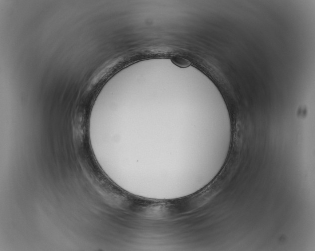X0000114590116200911161340