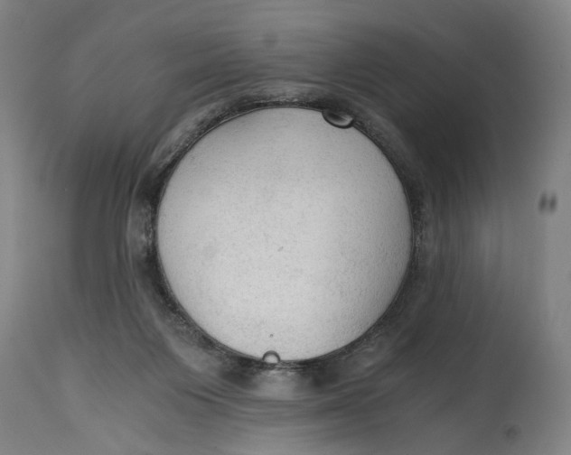 X0000114590119200911161340