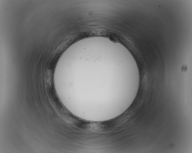 X0000114590121200911161340