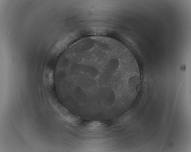 X0000114590123200911161340