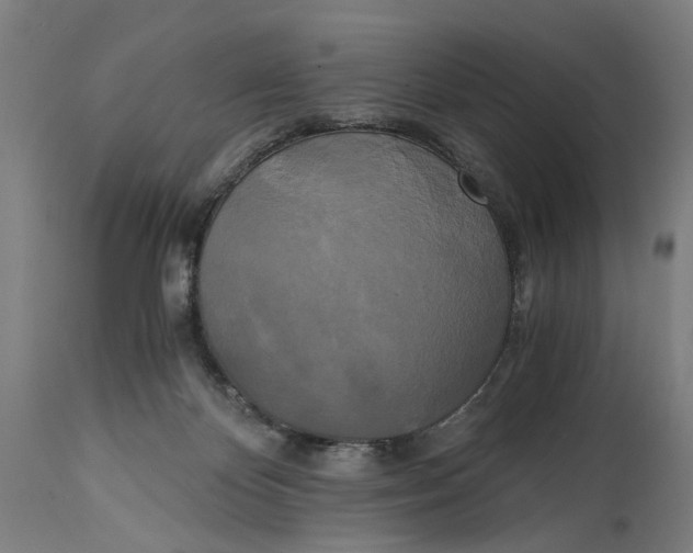 X0000114590124200911161340