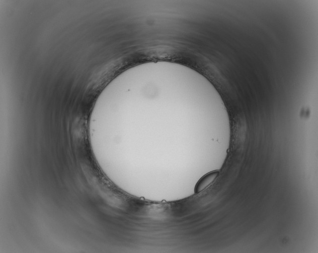 X0000114590126200911161340