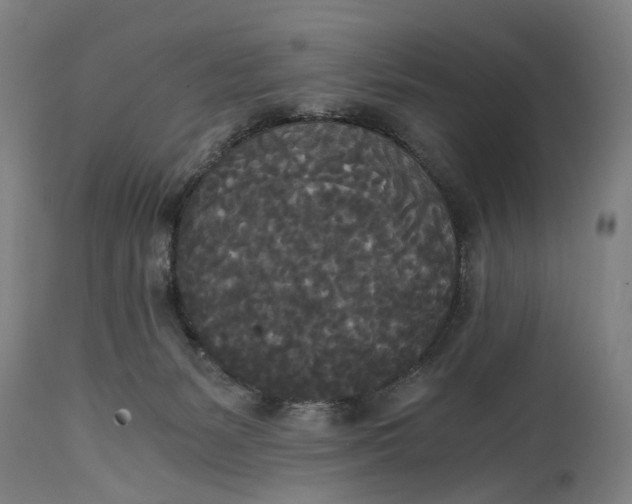 X0000114590127200911161340