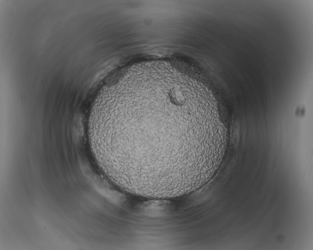 X0000114590128200911161340