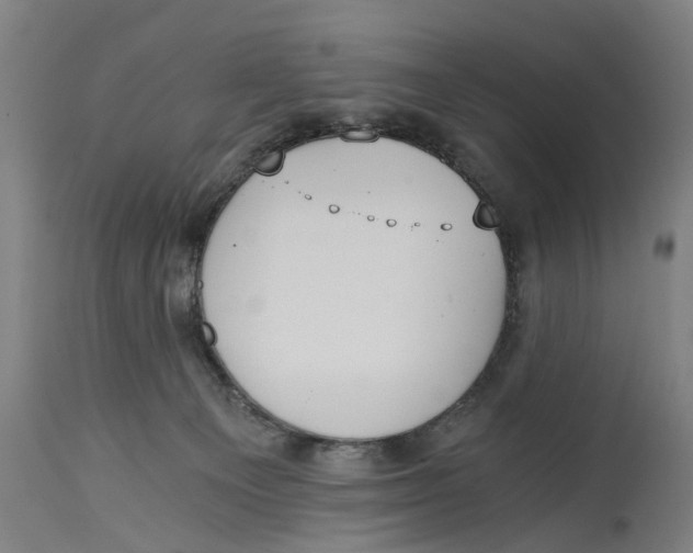 X0000114590129200911161340