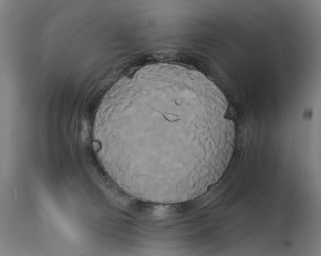 X0000114590130200911161340