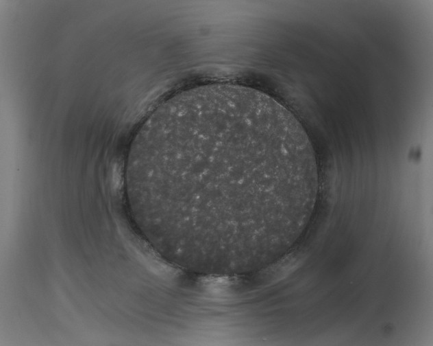 X0000114590131200911161340