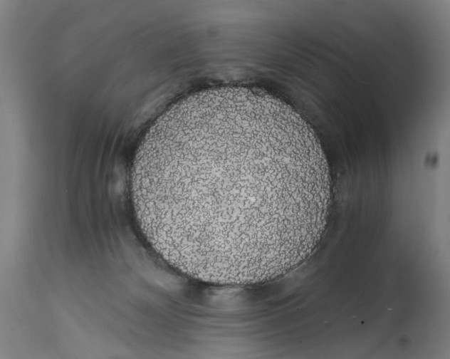 X0000114590132200911161340