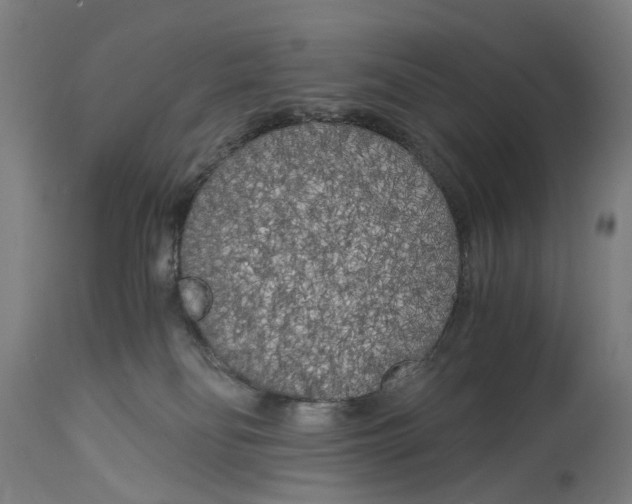 X0000114590134200911161340