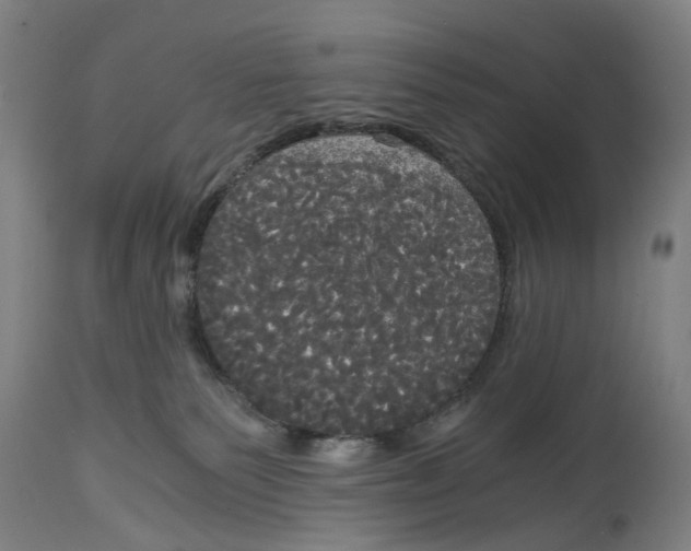 X0000114590135200911161339