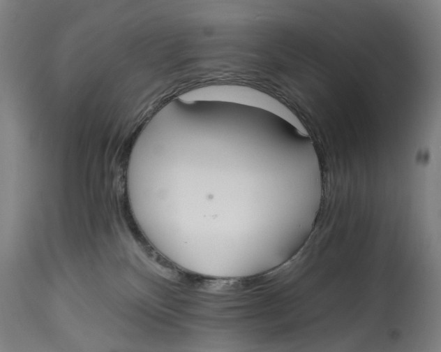 X0000114590136200911161339
