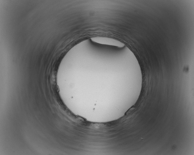 X0000114590137200911161339