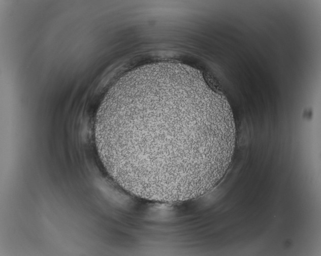 X0000114590140200911161339