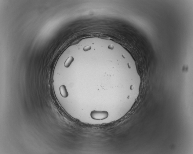 X0000114590146200911161339