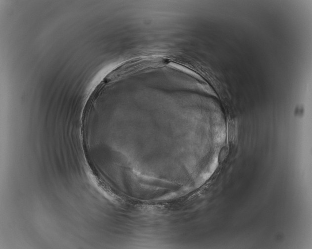 X0000114590147200911161339