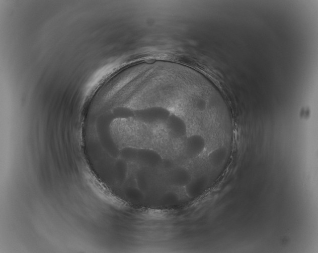 X0000114590149200911161339