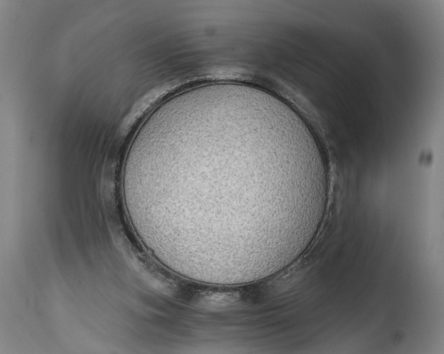 X0000114590155200911161339
