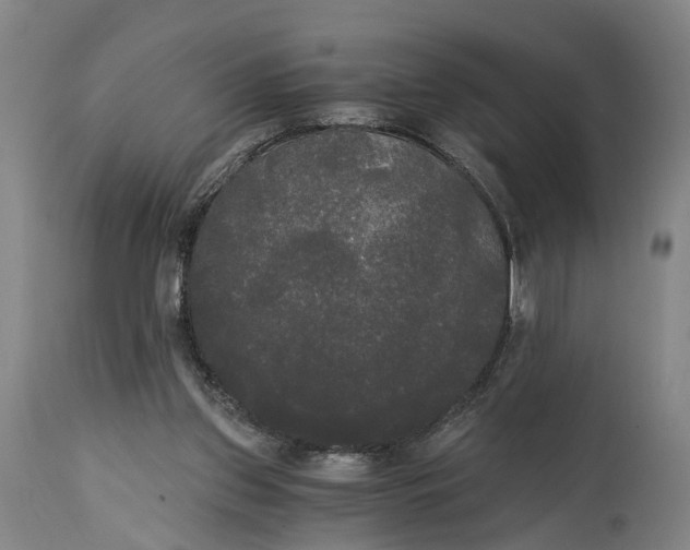 X0000114590157200911161339