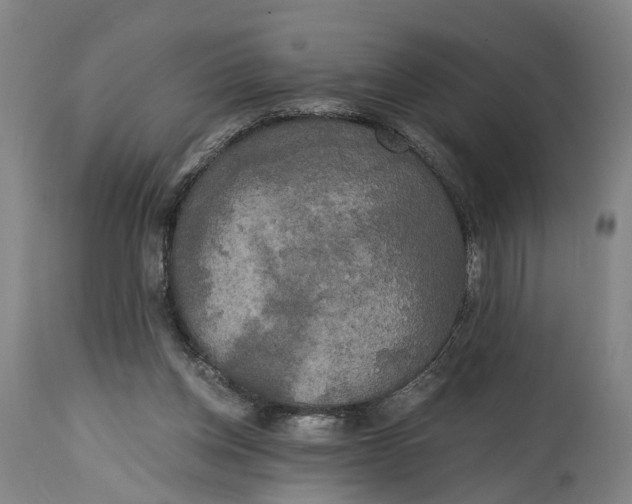 X0000114590158200911161339