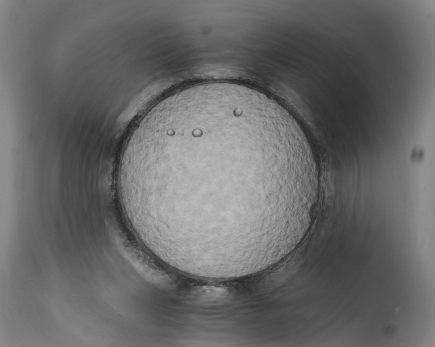 X0000114590159200911161339