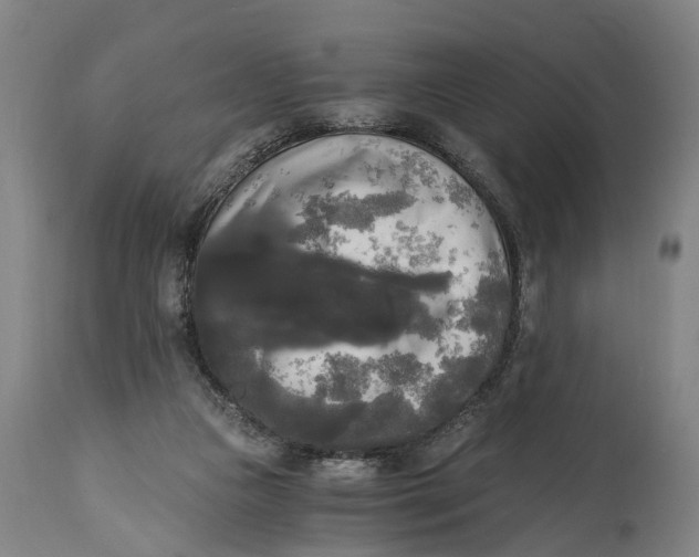 X0000114590161200911161339