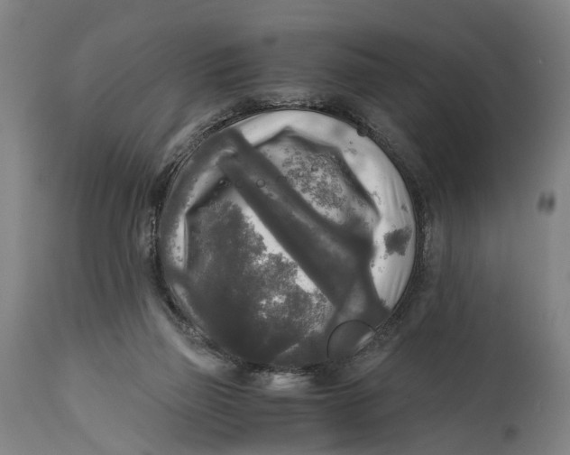 X0000114590165200911161339