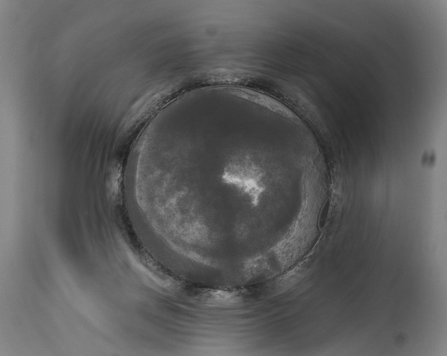 X0000114590166200911161339