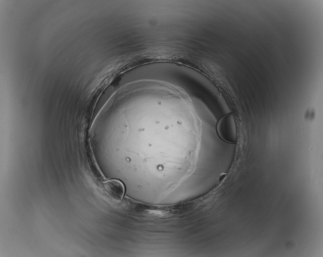 X0000114590167200911161339