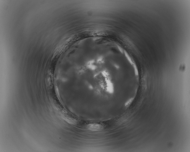 X0000114590169200911161339