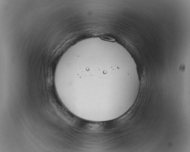 X0000114590170200911161339