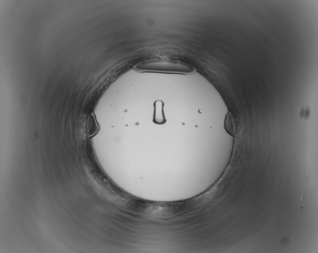 X0000114590174200911161339