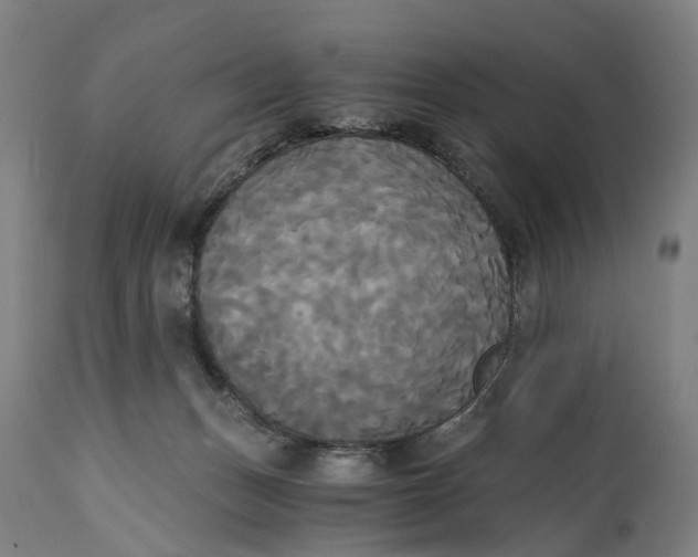 X0000114590175200911161339