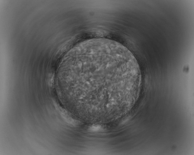X0000114590177200911161339