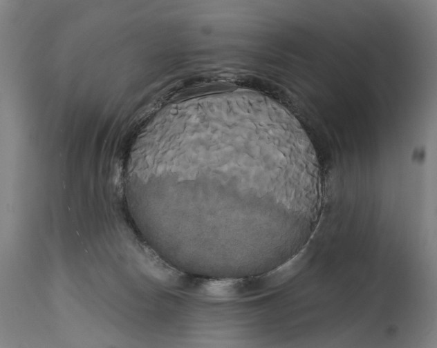 X0000114590178200911161339