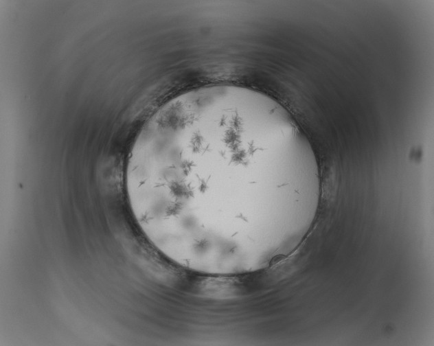 X0000114590179200911161339