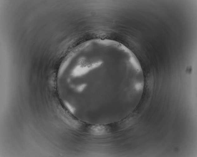 X0000114590181200911161339