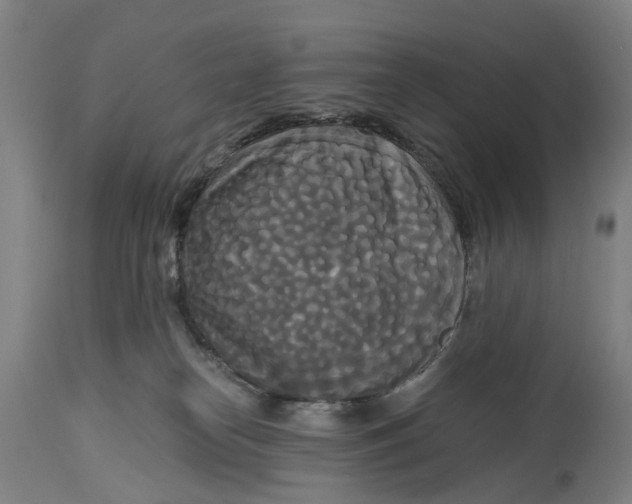 X0000114590182200911161339