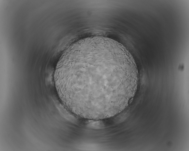 X0000114590185200911161339