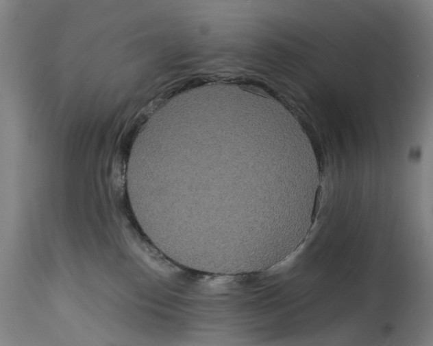 X0000114590186200911161339