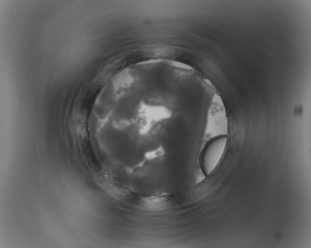 X0000114590189200911161339