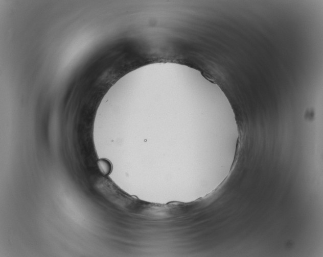 X0000114590190200911161339