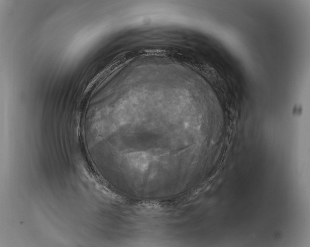 X0000114590194200911161339
