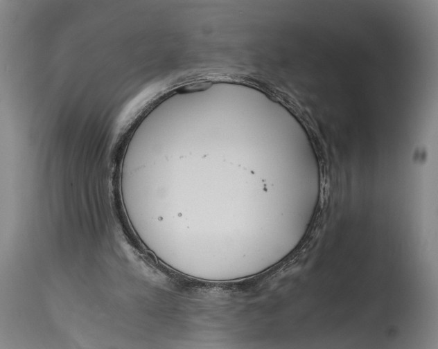 X0000114590197200911161339