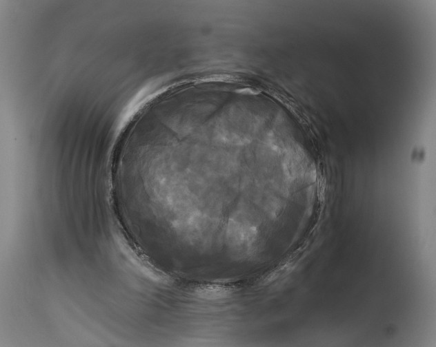 X0000114590198200911161339