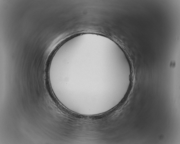 X0000114590199200911161339