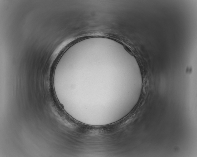 X0000114590200200911161339