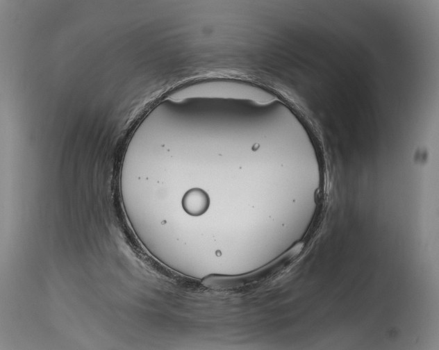 X0000114590201200911161339