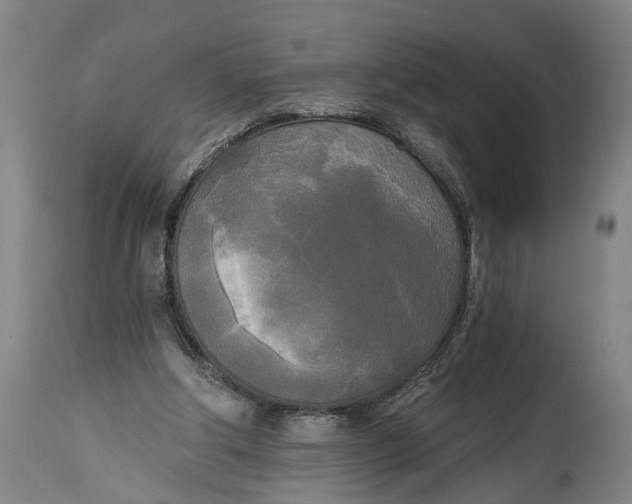 X0000114590202200911161339